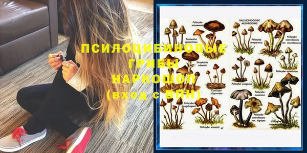 СК Нижневартовск