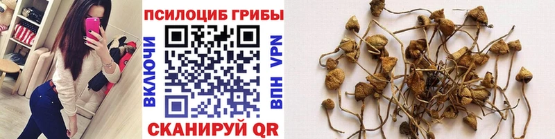 купить цена Ялта Галлюциногенные грибы Cubensis