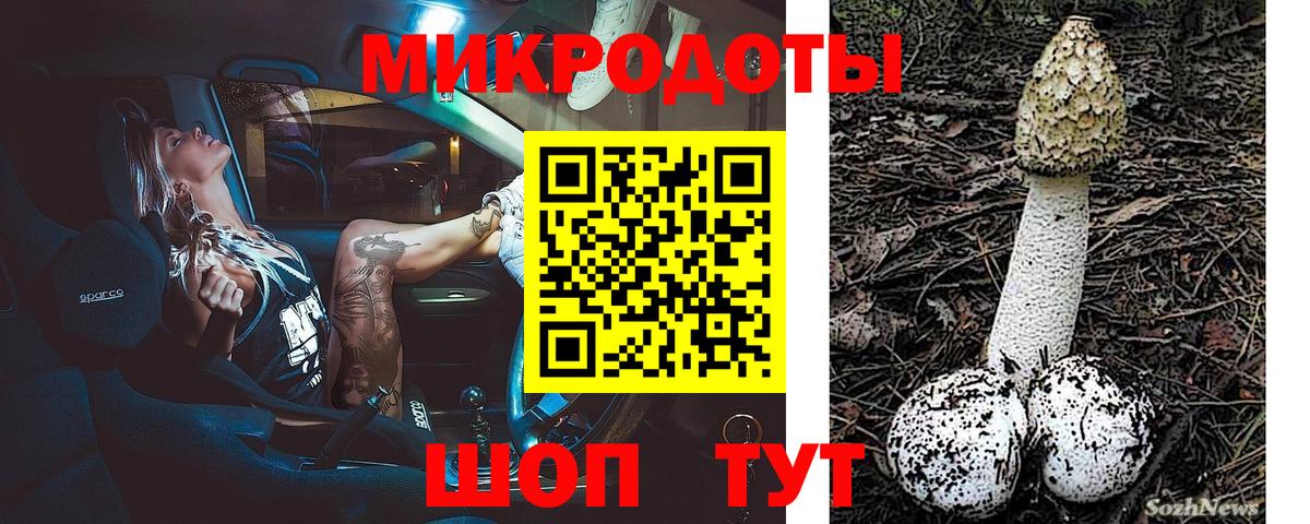 Псилоцибиновые грибы Cubensis  Вход с VPN  Ялта 