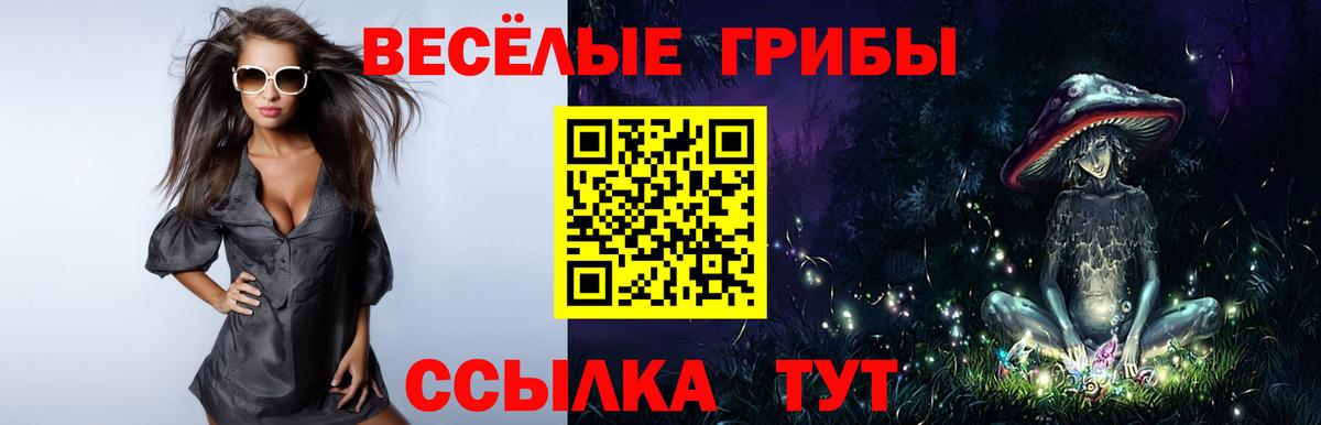 Псилоцибиновые грибы Magic Shrooms Ялта