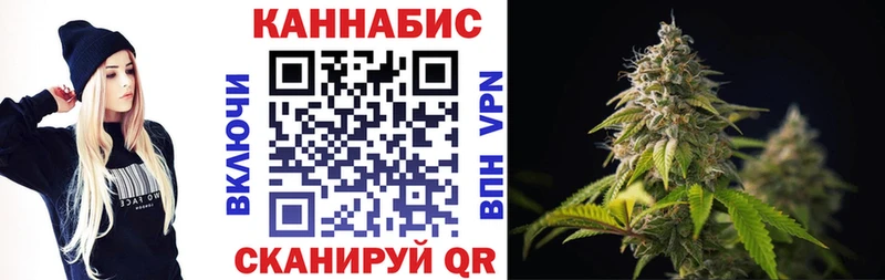 Бошки Шишки гибрид Ялта